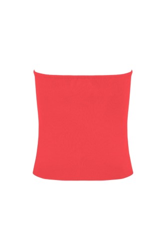 ELVA Cayenne tył.jpg