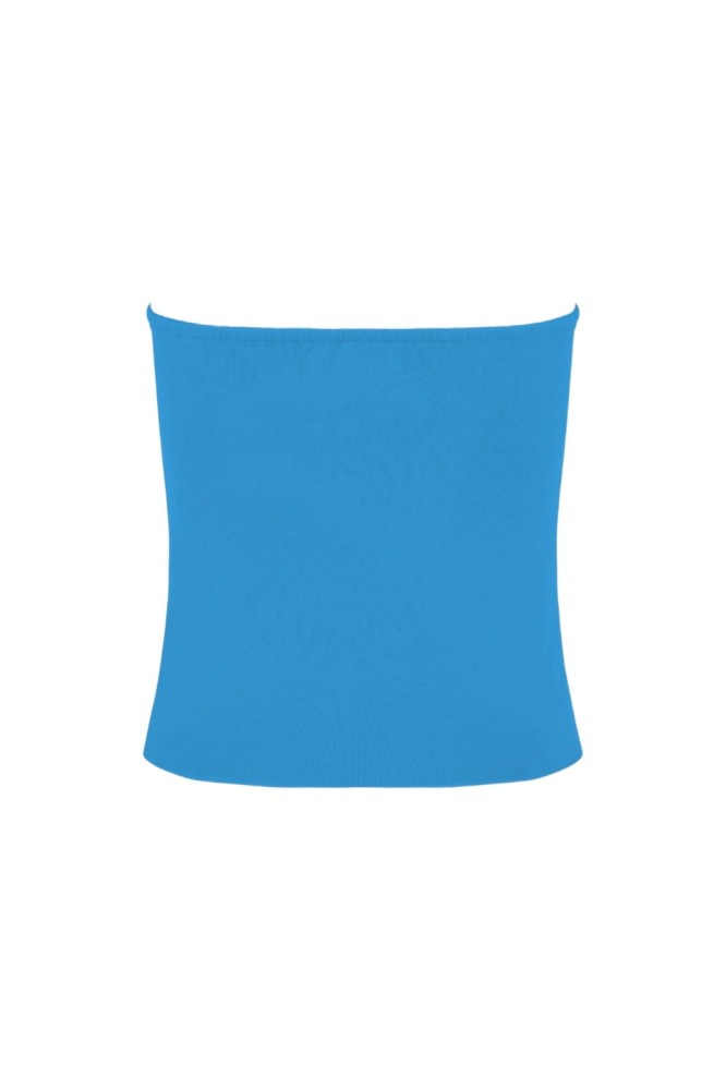 ELVA Swedish Blue tył.jpg