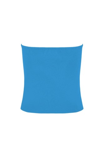 ELVA Swedish Blue tył.jpg