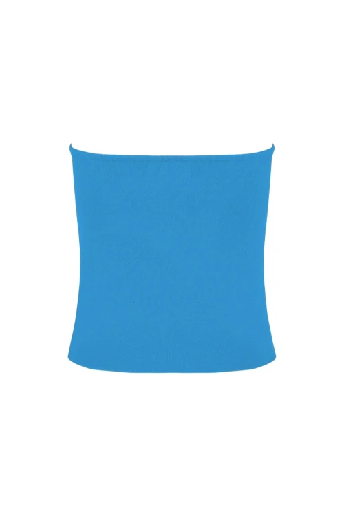 ELVA Swedish Blue tył.jpg