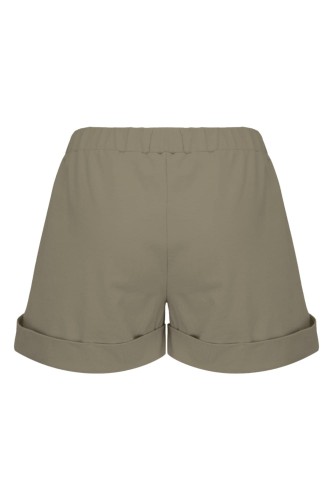 Silver Sage TAYLOR tył.jpg