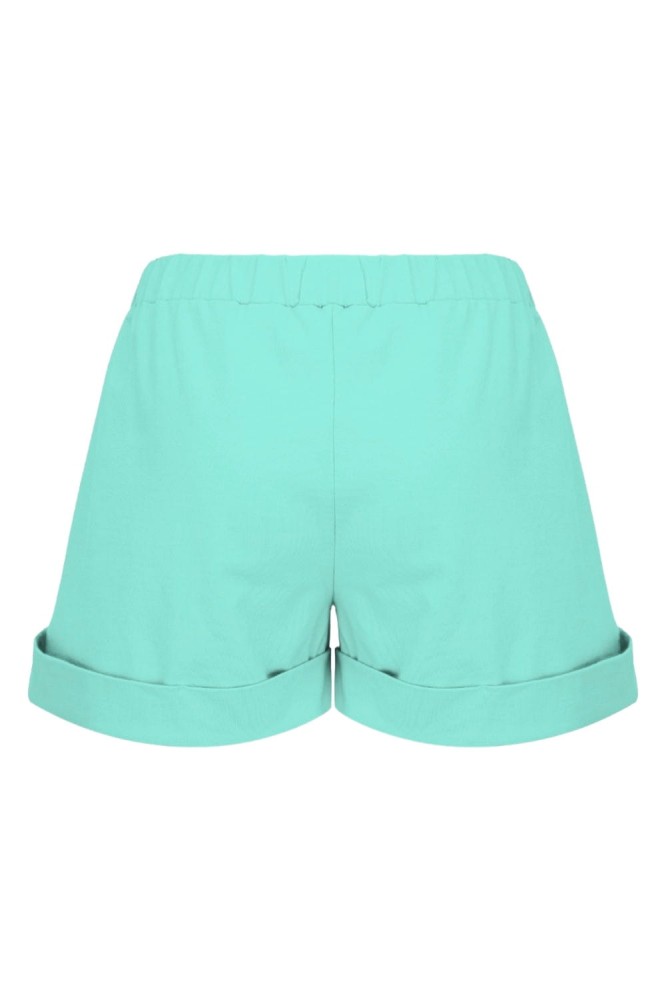 Blue Turquoise TAYLOR tył.jpg